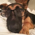 plaidpretty