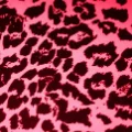 soda